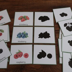 K&ouml;nnte beinhalten: Ein Satz von Lernkarten mit verschiedenen Beerenarten, darunter Blaubeeren, Himbeeren, Brombeeren, Preiselbeeren und Kirschen. Jede Karte zeigt eine farbenfrohe Illustration der Beere und ihren Namen darunter. Es gibt auch Silhouette-Karten, die zu den Beerenkarten passen.