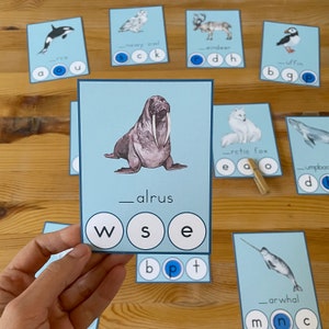 Arctic Animals Preschool Printable Beginning Sound Clip Cards. - Etsy