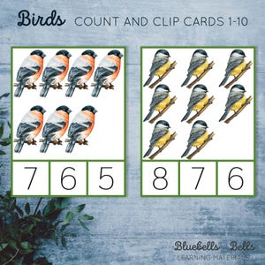 Birds Count and Clip Cards 1-10. Spring Montessori Printable. Preschool ...