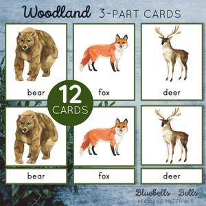 Tarjetas Montessori de 3 partes con animales del bosque. Actividad de vocabulario para preescolar. Imprimible de correspondencias para niños pequeños.