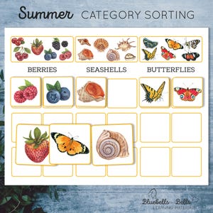 Pode incluir: Uma atividade de classificação de categorias de verão imprimível com imagens de bagas, conchas e borboletas. As imagens estão dispostas em três colunas, com o nome da categoria no topo de cada coluna. Existem quadrados em branco abaixo de cada categoria para classificar as imagens.