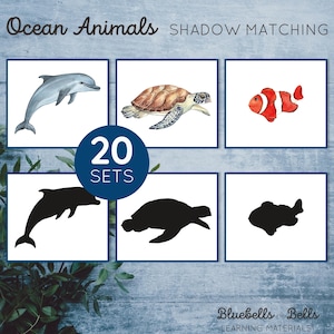 Cartes assorties d'ombre animale d'océan. Activité préscolaire d'été Montessori. Cartes nature imprimables pour tout-petits aquarelles.