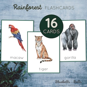 Rainforest animal flash cards. Toddler watercolor cards. Preschool animal printable cards.