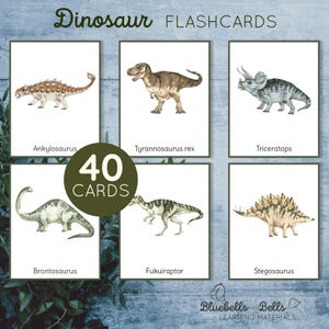 Dinosaur flash cards. Watercolor dinosaur identification printable cards.