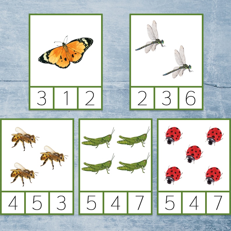Insect Count and Clip Cards 1-10. Montessori Summer Math - Etsy