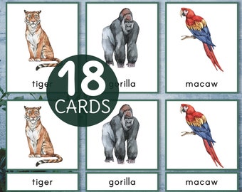 Rainforest animals Montessori printable 3 part cards. Vocabulary activity for preschool and kindergarten. Pre-reading skills.