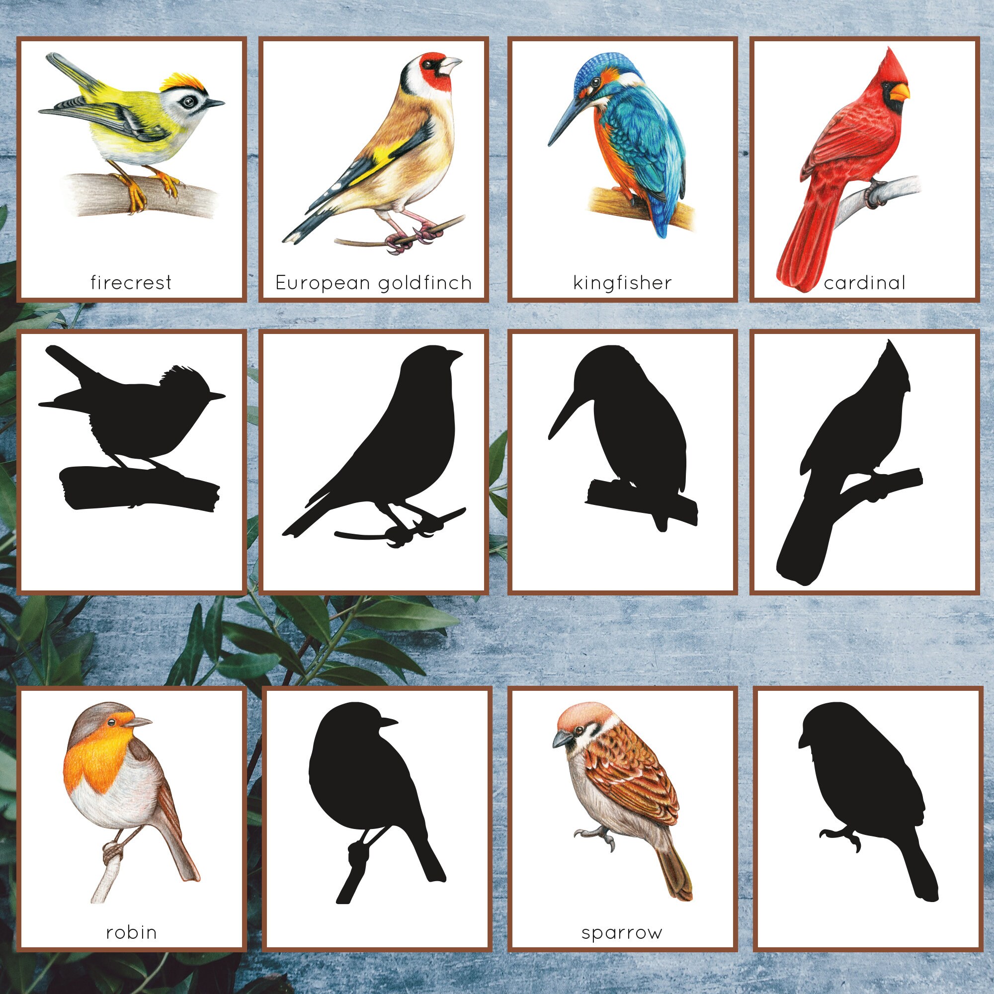 Bird shadow matching flash cards. Montessori spring printable. Etsy