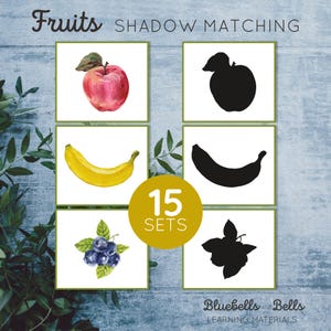 Fruit shadow matching cards. Montessori preschool printable. Toddler watercolor flash cards.