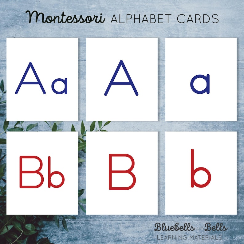 May include: Montessori Alphabet Cards featuring the letters A and B in both uppercase and lowercase. The uppercase letters are blue and the lowercase letters are red.