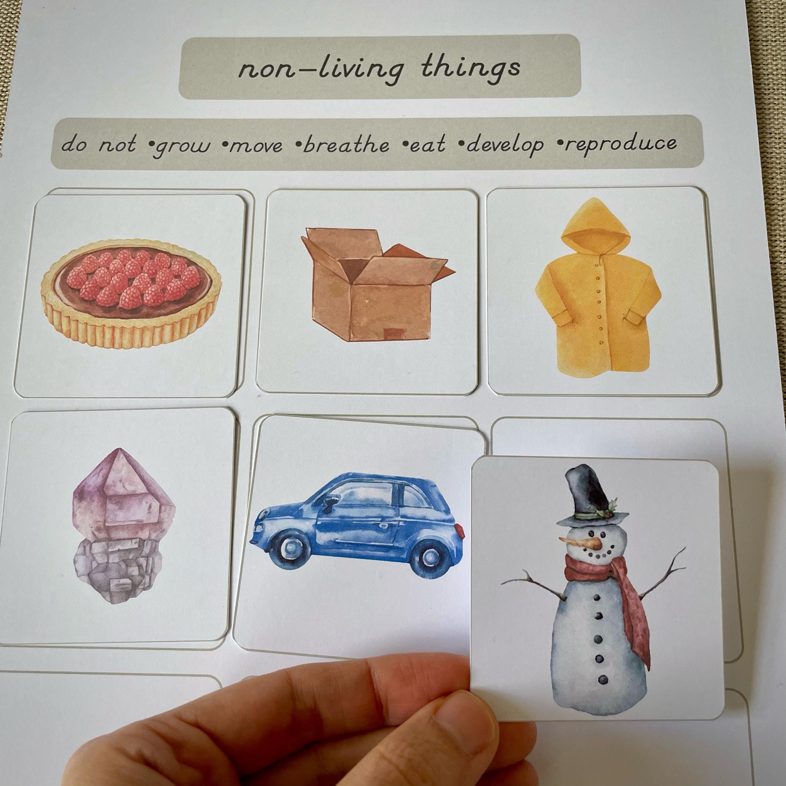 Living and Non-living Things Charts and Worksheets Sorting Activity ...