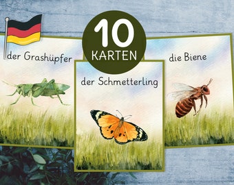 Insekten Bildkarten. Sprachmaterial Deutsch Lernkarten.