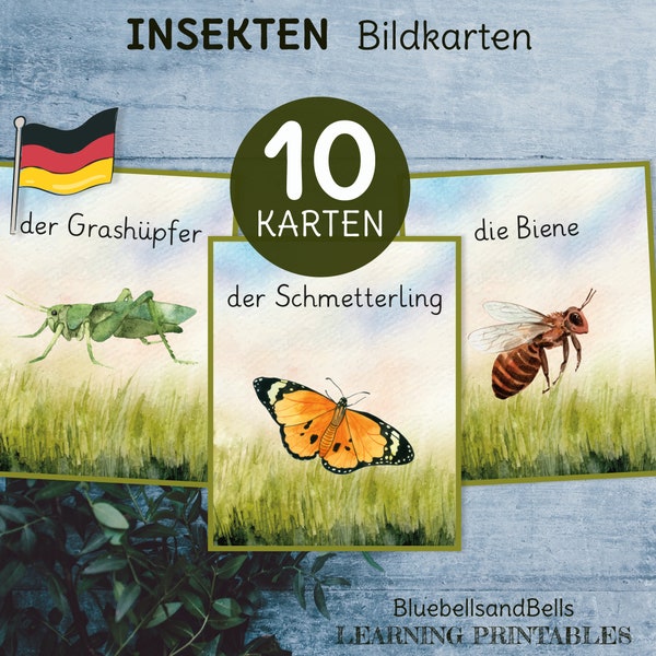 Insekten Bildkarten. Sprachmaterial Deutsch Lernkarten.