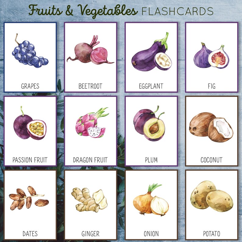 May include: A set of 12 watercolor illustrations of fruits and vegetables, each on a white background with the name of the fruit or vegetable printed below. The illustrations include grapes, beetroot, eggplant, fig, passion fruit, dragon fruit, plum, coconut, dates, ginger, onion, and potato.