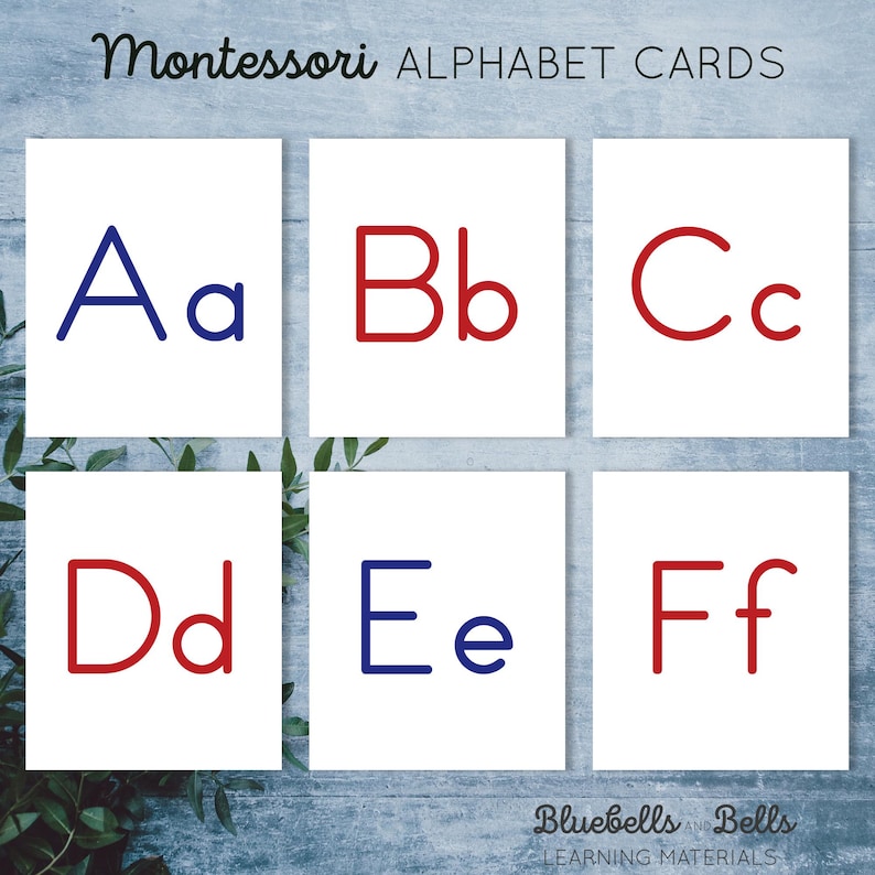 May include: Six white cards with red and blue outlines of the letters A, a, B, b, C, c, D, d, E, e, F, and f. The cards are arranged in two rows of three. The cards are on a wooden surface with green leaves.