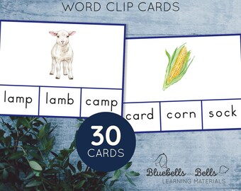 Ending blend Clip cards. CVCC reading Montessori printable Blue series.