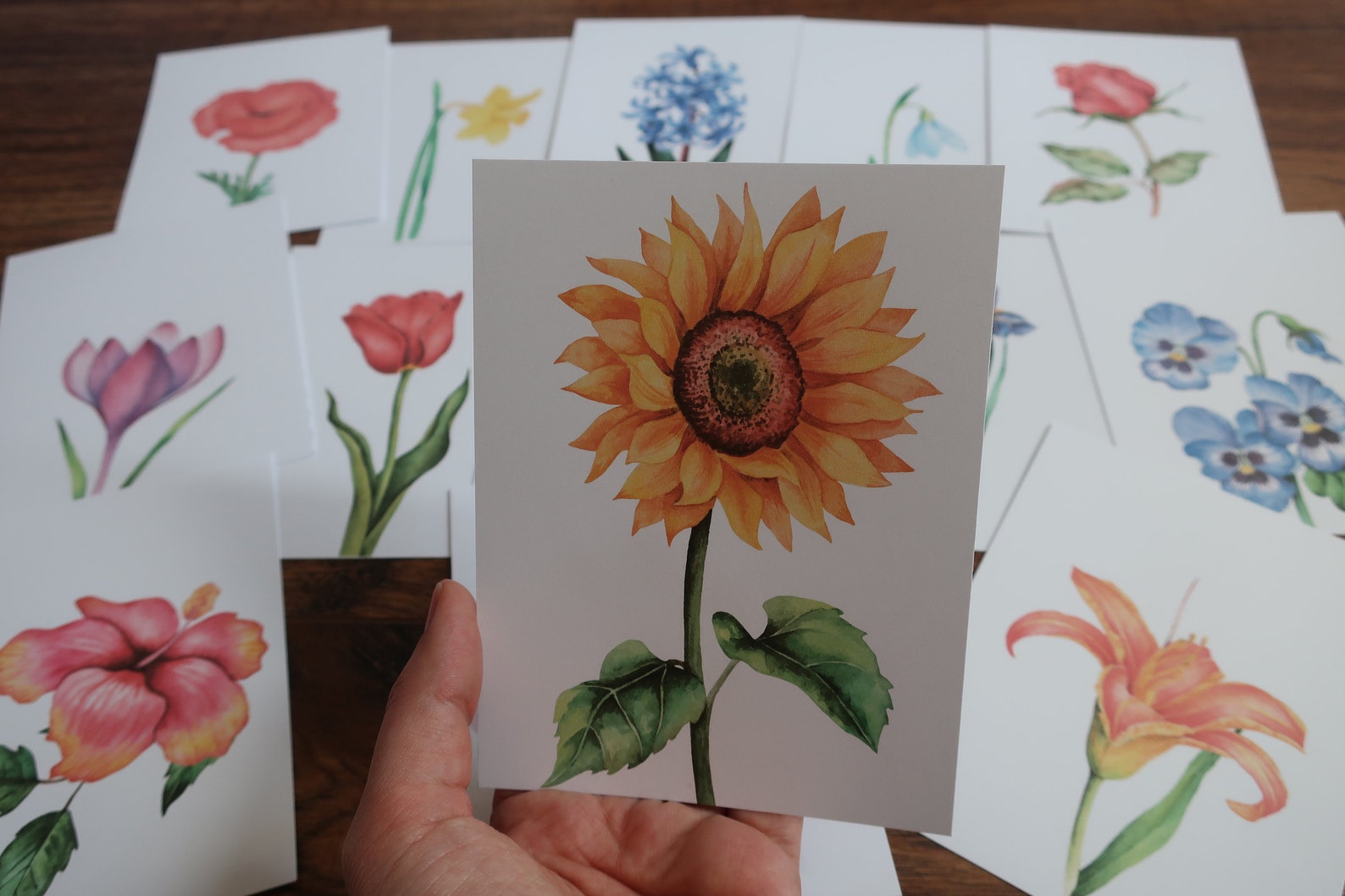 Flower Printable Shadow Matching Cards. Montessori Spring Preschool ...