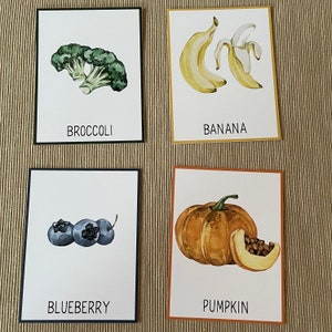 May include: Four illustrated cards with different fruits and vegetables. The cards are white with black borders. The first card shows a green broccoli with the word "Broccoli" printed below. The second card shows a yellow banana with the word "Banana" printed below. The third card shows three blue blueberries with the word "Blueberry" printed below. The fourth card shows an orange pumpkin with the word "Pumpkin" printed below.