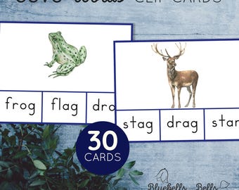 May include: A set of 30 clip cards featuring watercolor illustrations of animals and the words "CCVC Words Clip Cards". Each card has a picture of an animal and three boxes below with words that can be used to make a four-letter word.