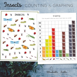 Insects preschool printable graphing. Kindergarten math activity.