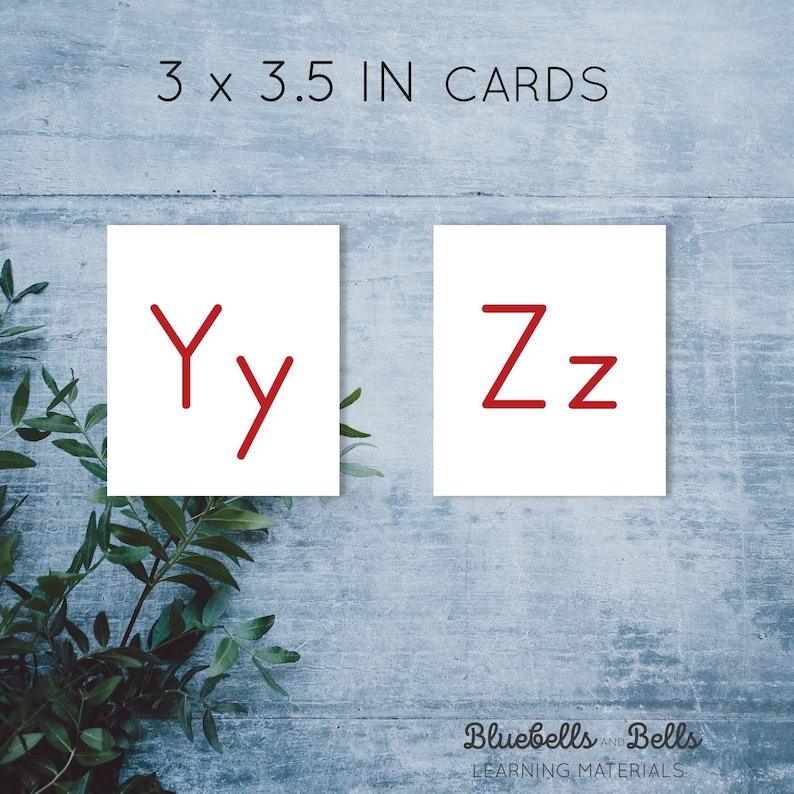 May include: Two 3 x 3.5 inch white cards with red uppercase and lowercase letters Yy and Zz. The cards are on a blue wood background.