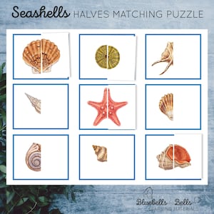 Zomerse peuterpuzzel Seashells Halfs bijpassende. Montessori druk boek.