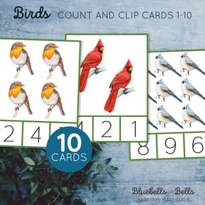 Birds count and clip cards 1-10. Spring Montessori printable. Preschool and kindergarten math activity.