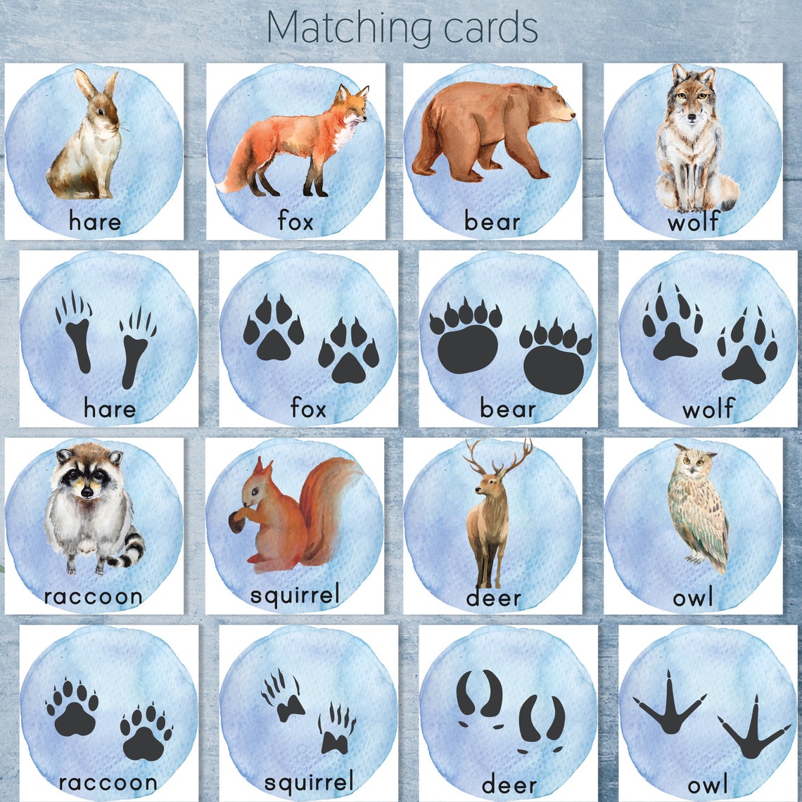 Winter Woodland Animal Tracks Flashcards. Montessori Winter - Etsy UK