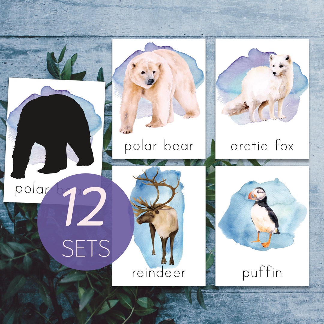 Arctic Animals Montessori Printable. North Pole Animals