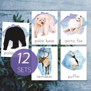 Animales del Ártico Montessori para imprimir. Animales del Polo Norte para imprimir para niños pequeños. Montessori para imprimir en invierno para preescolar.