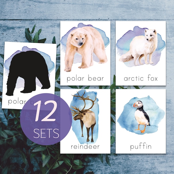 Arctic Animals Montessori Printable. North Pole Animals - Etsy Arctic Animals Montessori Printable. North Pole Animals - Etsy