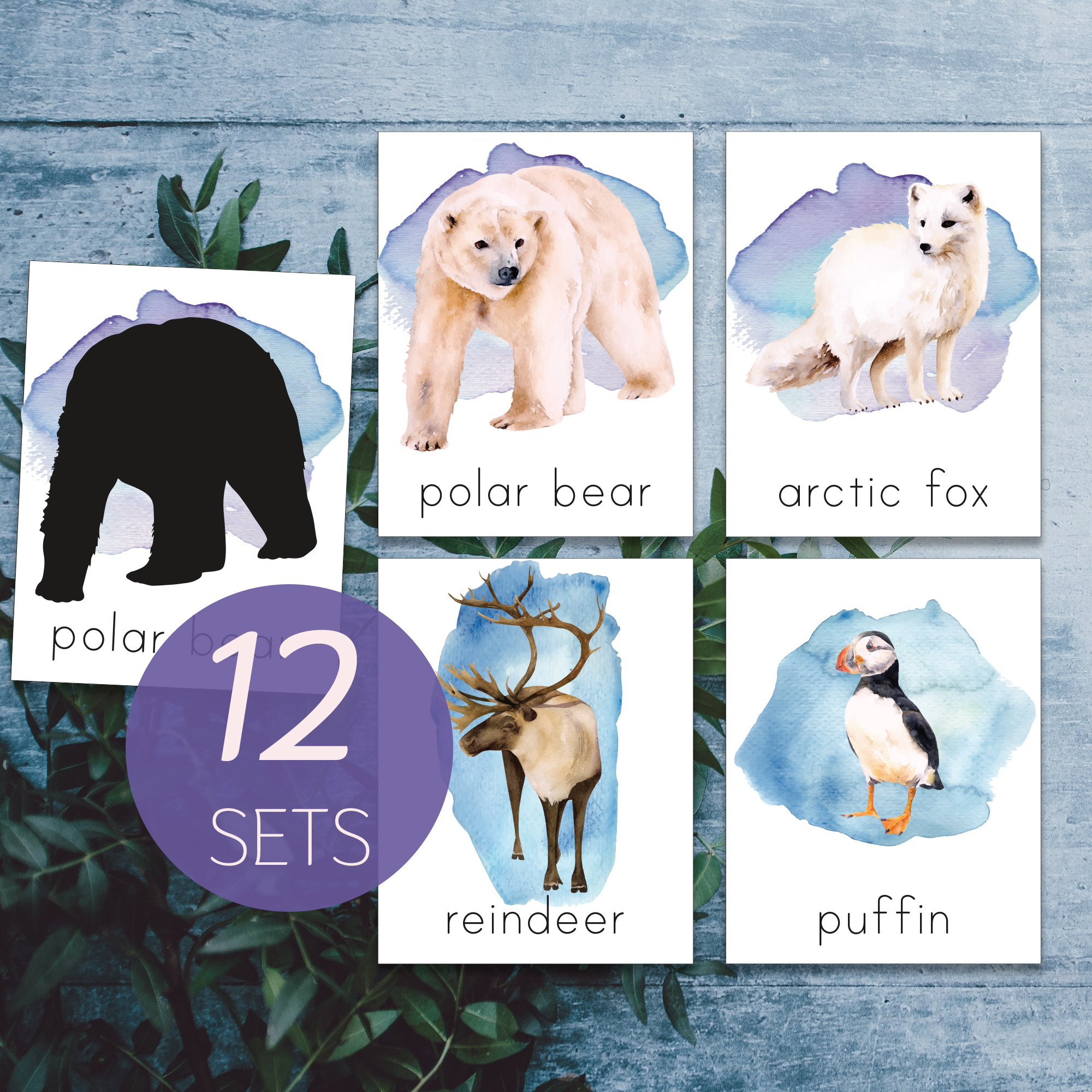 Arctic Animals Montessori Printable. North Pole Animals - Etsy Arctic Animals Montessori Printable. North Pole Animals - Etsy