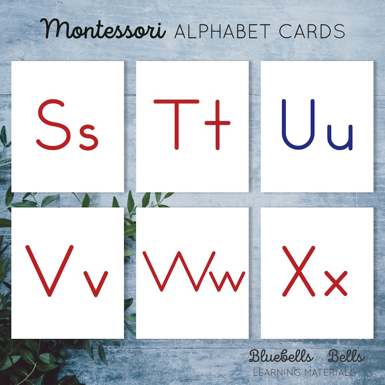 May include: Six white cards with red and blue letters on them. The letters are S, T, U, V, W, and X. The cards are part of a Montessori alphabet set.