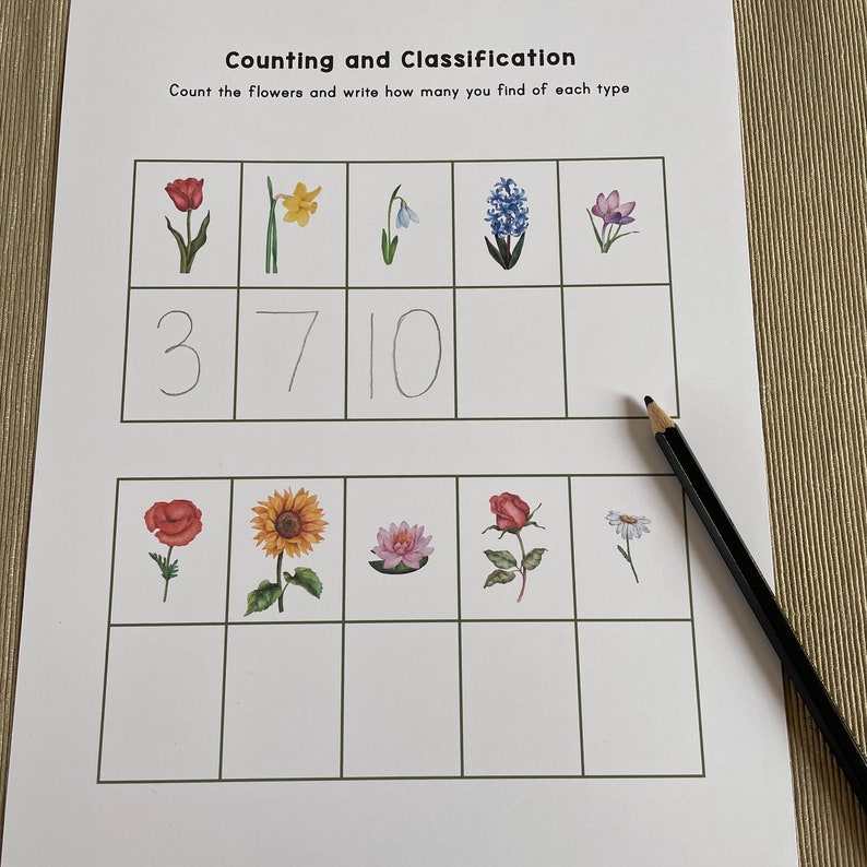 Graphing Printable Flowers. Preschool and Kindergarten Math Activity ...
