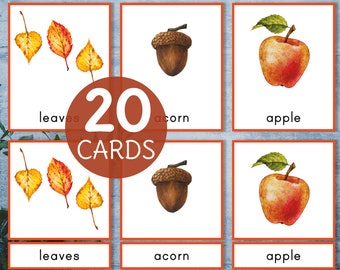 Fall Montessori printable  3 part cards. Autumn vocabulary for preschool and kindergarten. Toddler matching activity.