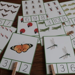 Insect Count and Clip Cards 1-10. Montessori Summer Math Printable ...