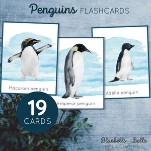 Tarjetas didácticas sobre los pingüinos del mundo. Tarjetas imprimibles sobre los tipos de pingüinos. Actividad de invierno para preescolar y jardín de infantes.