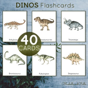 Dinosaur flash cards. Watercolor dinosaur identification printable cards.