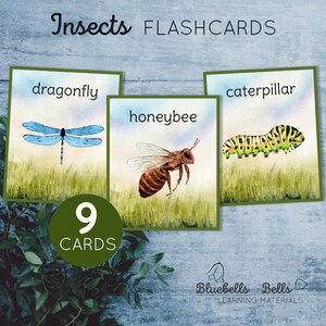 Insectenkaarten mini. Afdrukbaar met aquarel voor peuters en kleuters.