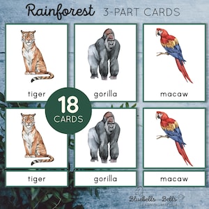 Cartões Montessori de animais da floresta tropical para impressão em 3 partes. Atividade de vocabulário para pré-escola e jardim de infância. Habilidades de pré-leitura.