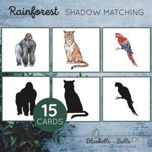 Cartões de correspondência de sombras de animais da floresta tropical. Atividade para impressão de animais Montessori para crianças pequenas e pré-escolares.