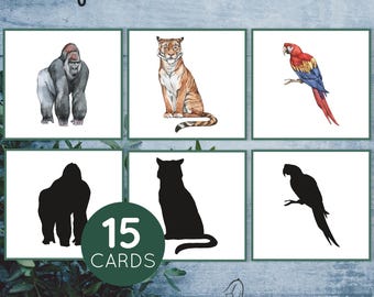 May include: A set of 15 rainforest animal shadow matching cards. The cards feature colorful illustrations of a gorilla, tiger, and parrot, along with their corresponding black silhouettes.