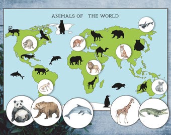 May include: A colorful world map with green continents and blue oceans. Silhouettes of animals are placed on the map, with corresponding illustrations of the animals in circles around the map. The title "Animals of the World" is at the top of the map. The text "Bluebells and Bells Learning Materials" is at the bottom of the map.