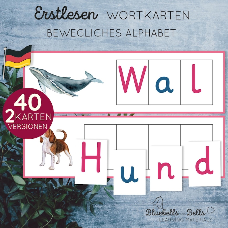 May include: A set of 40 word cards for learning German. The cards feature a whale, a dog, and the words "Wal" and "Hund" written in German. The cards are designed to help children learn to read and spell.
