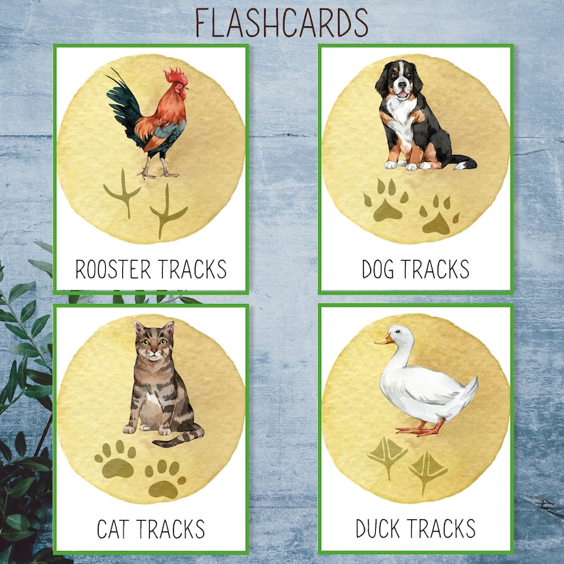 Printable Animal Track Flashcards