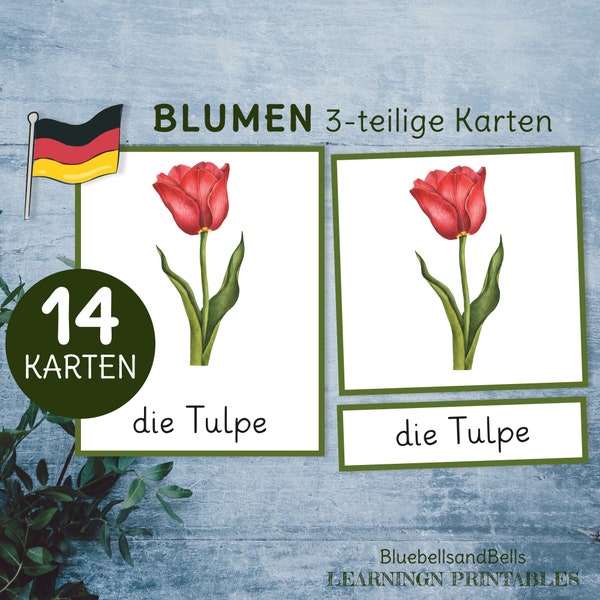 Blumen Montessori 3-teilige Karten. Lehrmaterial Deutsch für Vorschule und Kindergarten.