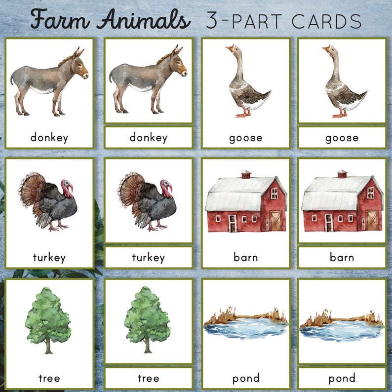 Farm Animal Montessori Printable 3 Part Cards. Preschool and ...