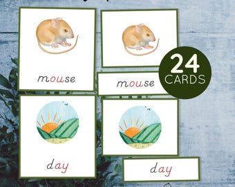 Montessori printable Digraph 3-part cards. Green series activity.