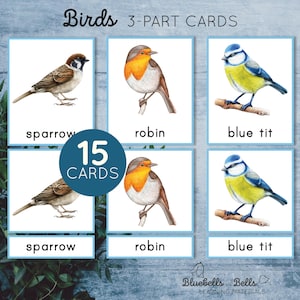 Tarjetas imprimibles Montessori de 3 partes sobre pájaros. Actividad de vocabulario de primavera para preescolar y jardín de infantes.