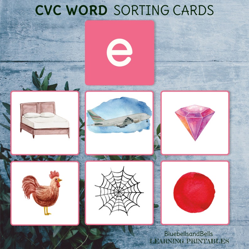 CVC Word Sort Vowel. CVC Word Printable Chart With Pictures. Etsy