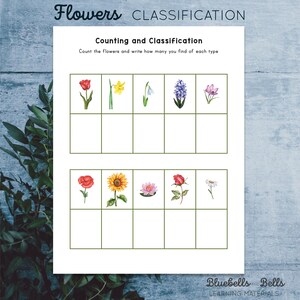 Graphing Printable Flowers. Preschool and Kindergarten Math Activity ...